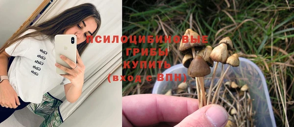 2c-b Карпинск