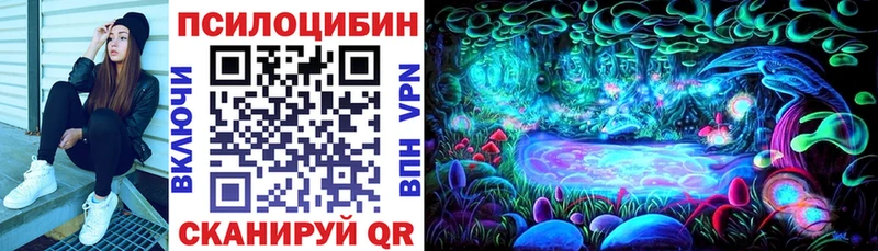 Псилоцибиновые грибы MAGIC MUSHROOMS  цены наркотик  Прокопьевск 